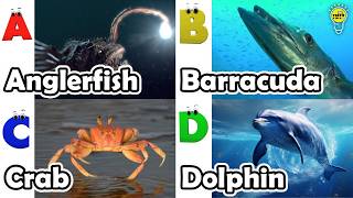 ABC Sea Animals song | Learn Alphabets | English and Animals for Kids | #anglerfish