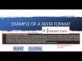 INTRODUCTION TO FASTA FILES HOW TO CREATE FASTA FILES BIOINFORMATICS