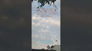Cosecharán entre gritos de alegría.