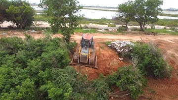 Great work Techniques operator Driver Dozer working push Clean  Cutting Forest very smoothly