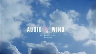 Strong Wind Sound Effect No Copyright
