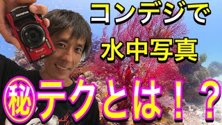 【超初心者向け水中写真②】ゼロから始めるカメラ講座