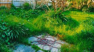 Overgrown And Untouched For Many Years...