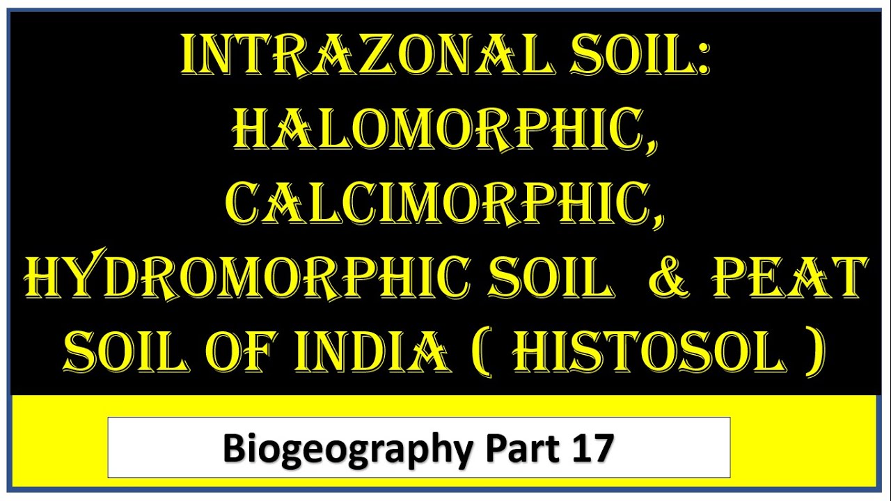 Halomorphic Intrazonal Soil I Halomorphic I Calcimorphic I Hydromorphic I Peat Soil ...