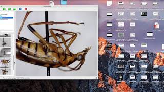 Review of Celestron Digital Microscope Pro - Part 2 of 2