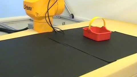 A robot learning how to grasp objects