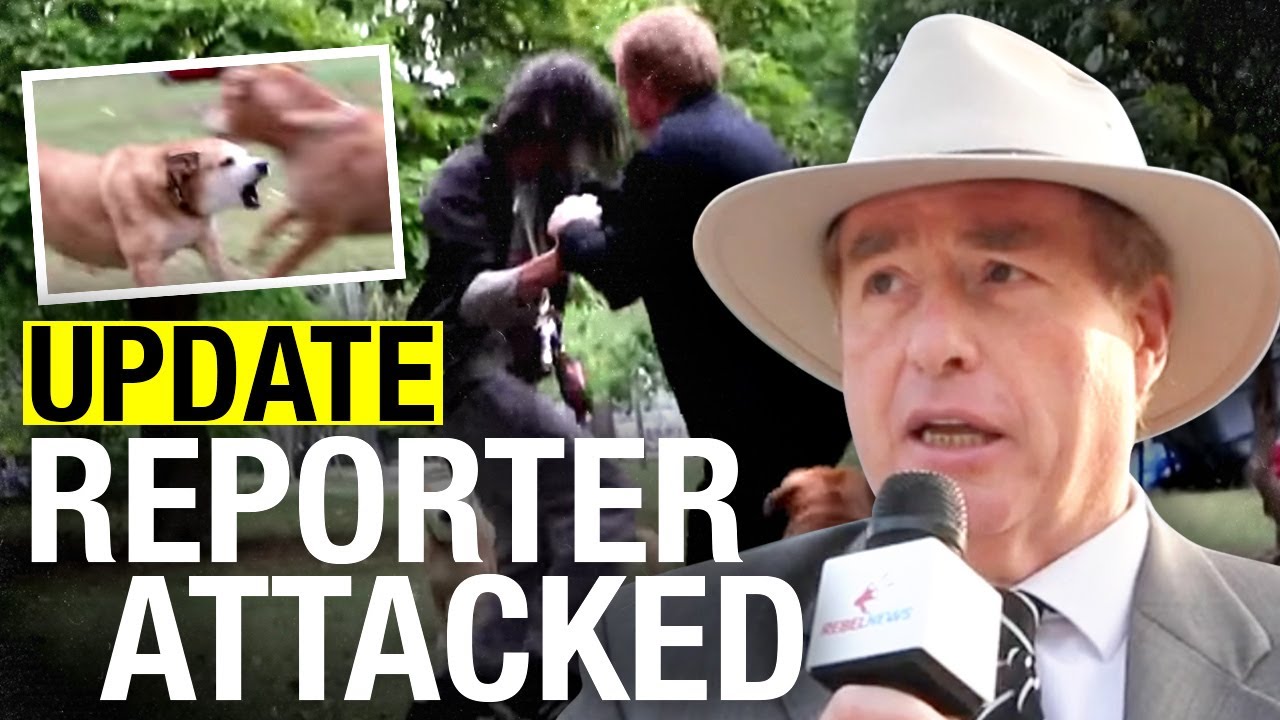 UPDATE: Suspects charged, but Trinity Bellwoods tent city is still a stain on Toronto