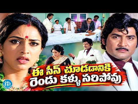 Korukunna Mogudu Movie Best Scene | Sobhan Babu | Lakshmi | Telugu Movie Scenes | iDream HD Movies