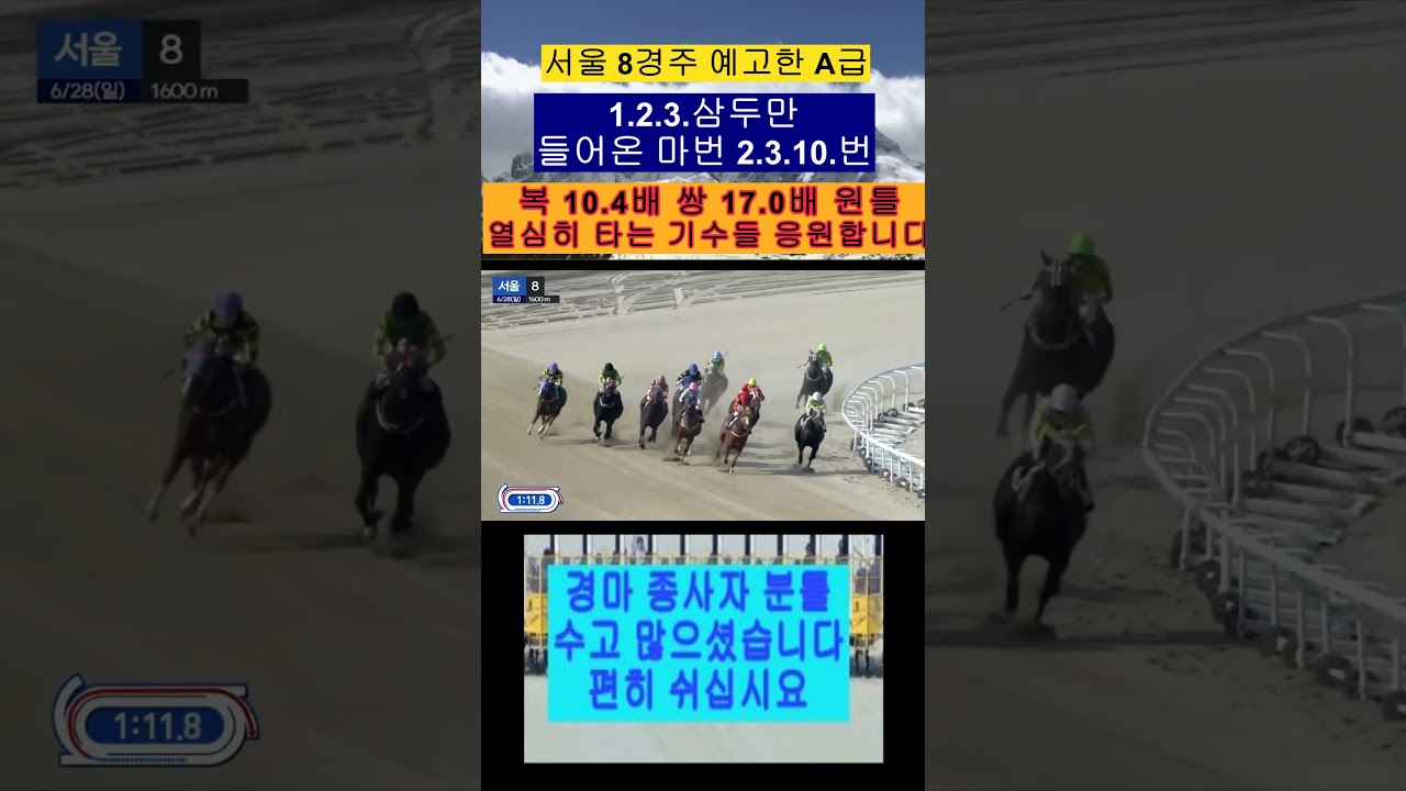 일요 예고 추천마 3개 오네요 2.3.이두 들어오는 영상보기