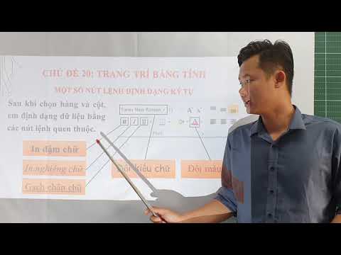Chủ đề 20: Trang trí bảng tính - Tin học lớp 4