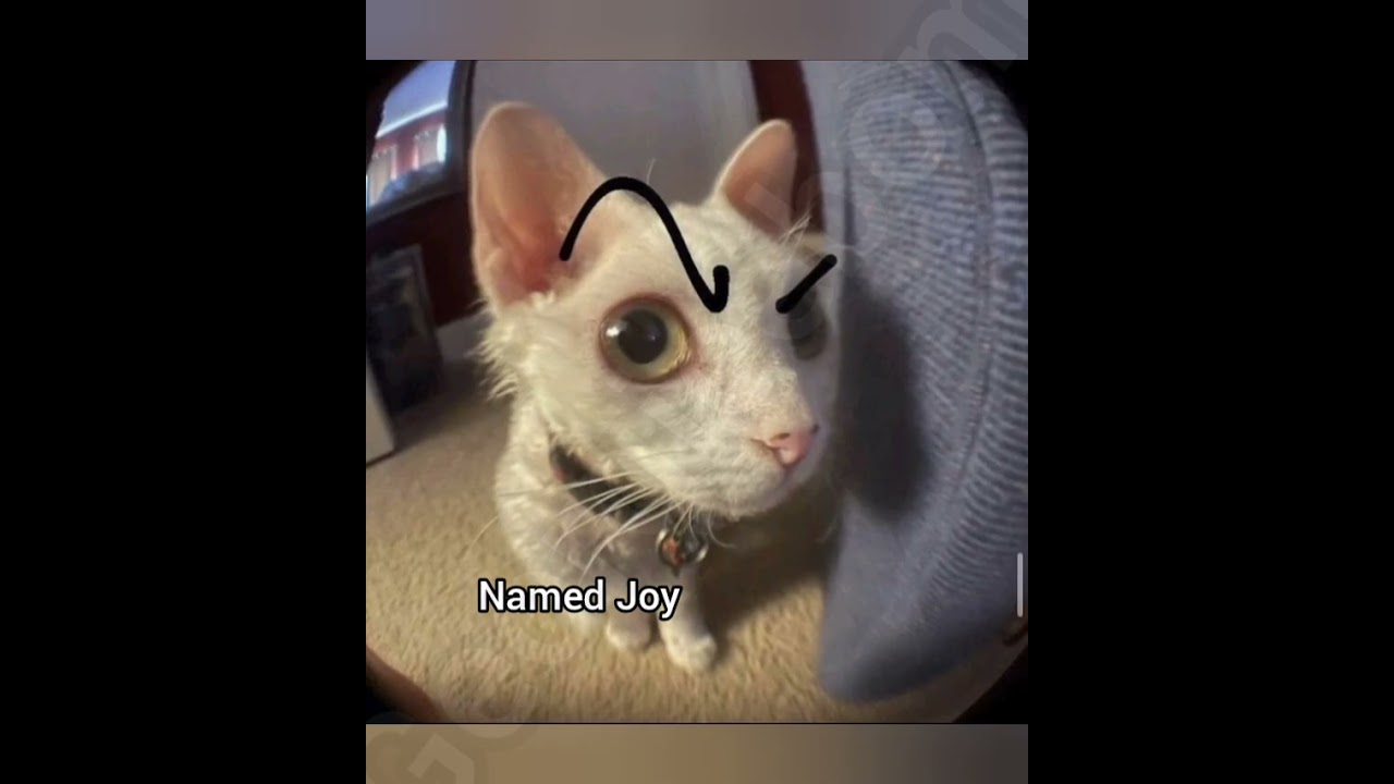 Вегетарианец назвал жареную говядину 