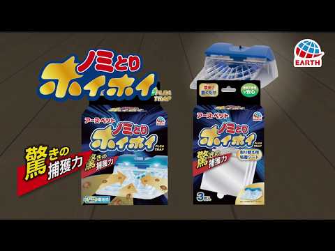 Dawn食器用洗剤で跳蚤は本当に死ぬ？正しい使い方と注意点
