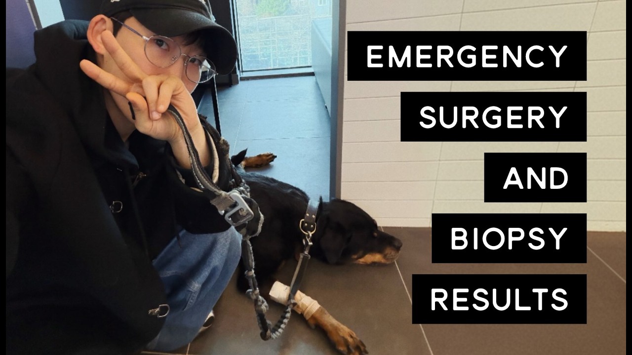 Кризис, связанный с Китайским Новым годом: опухоли/хирургия/биопсия