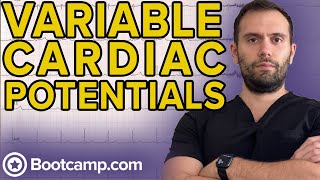 Variable of Cardiac Potential | HIGH-YIELD CARDIOLOGY | USMLE STEP 1