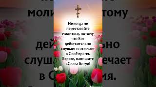 Нажмите на ссылку в верхней части моего профиля, чтобы получить Божьи благословения. ✅