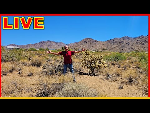 RV Chat Live: Pelicamp West