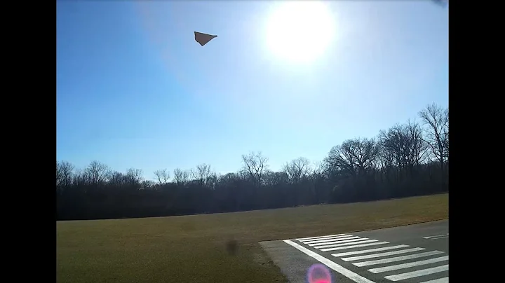 3D Printed Lippisch P13a - Successful Maiden Flight