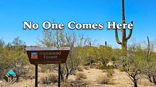Ancient Desert, Forgotten History | Ironwood Forest National Monument