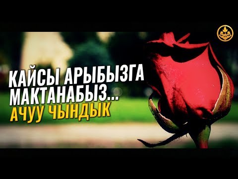 КАЙСЫ АРЫБЫЗГА МАКТАНАБЫЗ...(ачуу чындык). Шейх Чубак ажы