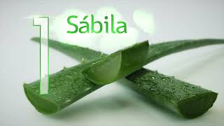 10 Reconocidos Ingredientes En Un Solo Producto Nutribela10