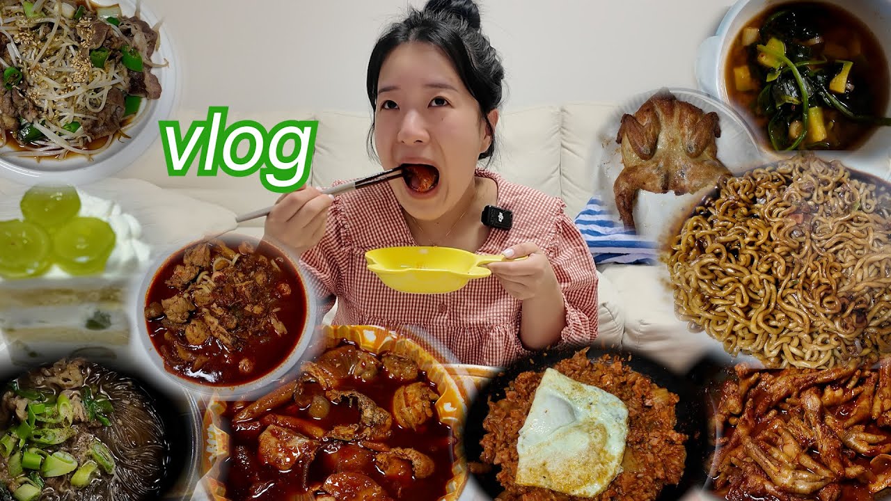 [vlog]오늘 나보다 엽닭 맛있게 먹는 사람 없을걸?🍗 (아마도) | 엽닭 | 짜파게티+파김치 | 우삼겹갈비탕 | 닭발 | 통닭 | 김치볶음밥 | 우삼겹숙주볶음