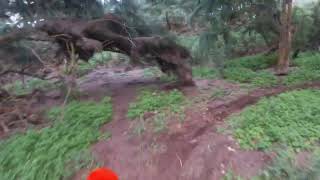 KAUAI KINE / short ride racing the rain ANAHOLA