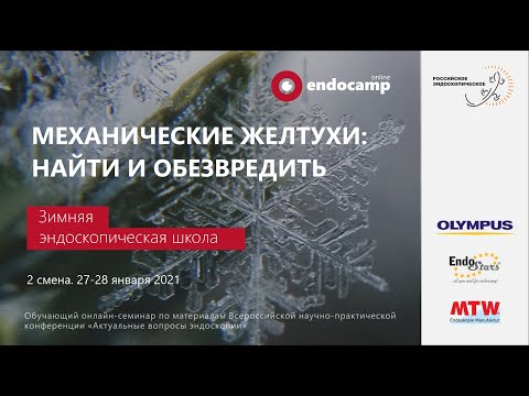 Зимний Endocamp 2020-2021.  Вторая смена "Механические желтухи: найти и обезвредить" (День 1)