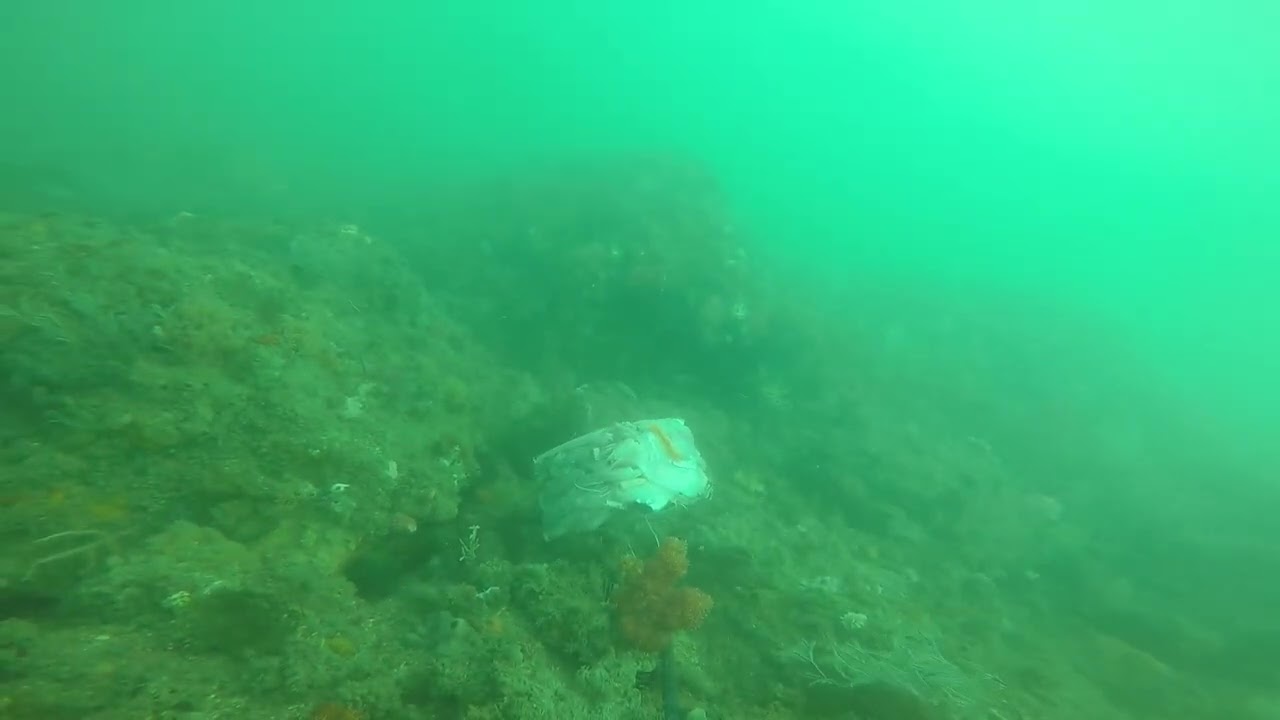 Breamuda triangle- Ethel Rocks 14/5/24