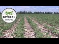 Soybean school boosting yield with starter and pop up fertilizer