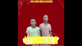 Utshwalamnqobi nkhwezi k