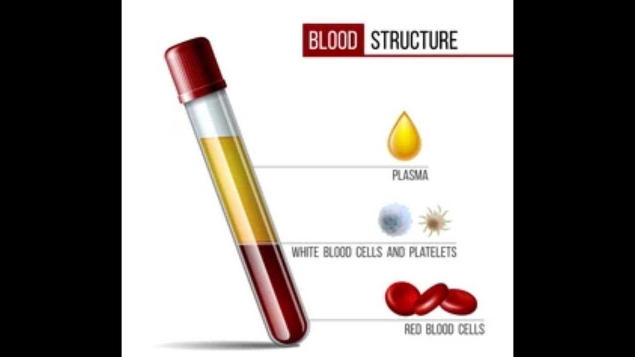 بابەت : زیندەوەرزانی  بەندێ دوویێ - پێکهاتێن خوینێ