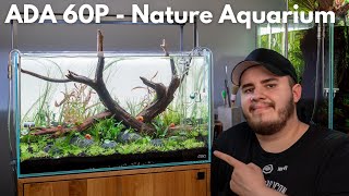 60cm Nature Aquarium bepflanzen! Schritt für Schritt