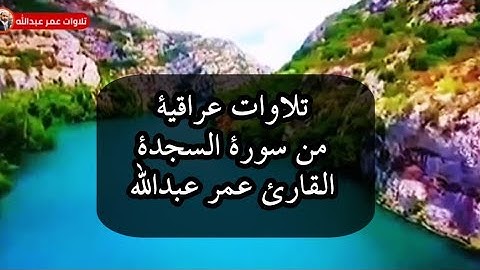 تلاوة عراقية مؤثرة للقارئ عمر عبدالله سلطان من سورة السجدة
