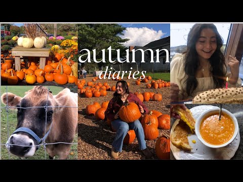 autumn diaries🍂🍁 decorating, baking, pumpkin patch, 22nd birthday, & vineyard trip