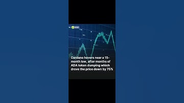 Whales bought 200 million Cardano ADA #crypto #altcoin #cardano #ada #whale #future