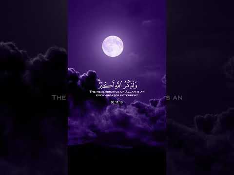 إن الصلاة تنهي عن الفحشاء والمنكر القارئ عبدالرحمن مسعد