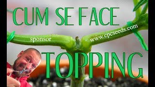Cum facem TOPPING unei plante