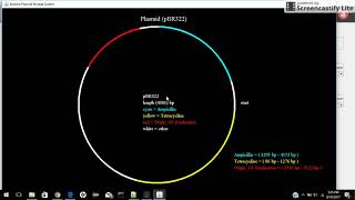 Information BacSoft : Tutorial One (Storing text data) News