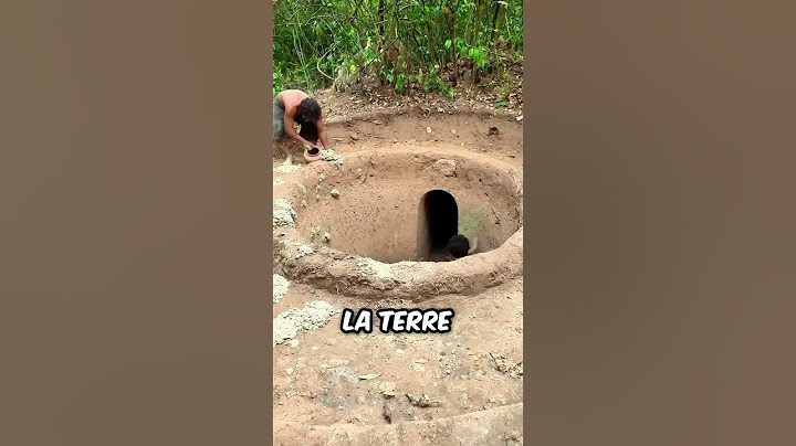 Ces deux garçons ont construit une maison dans la forêt ensemble!