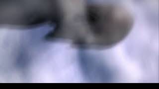 Live 29/01/2021 11:12