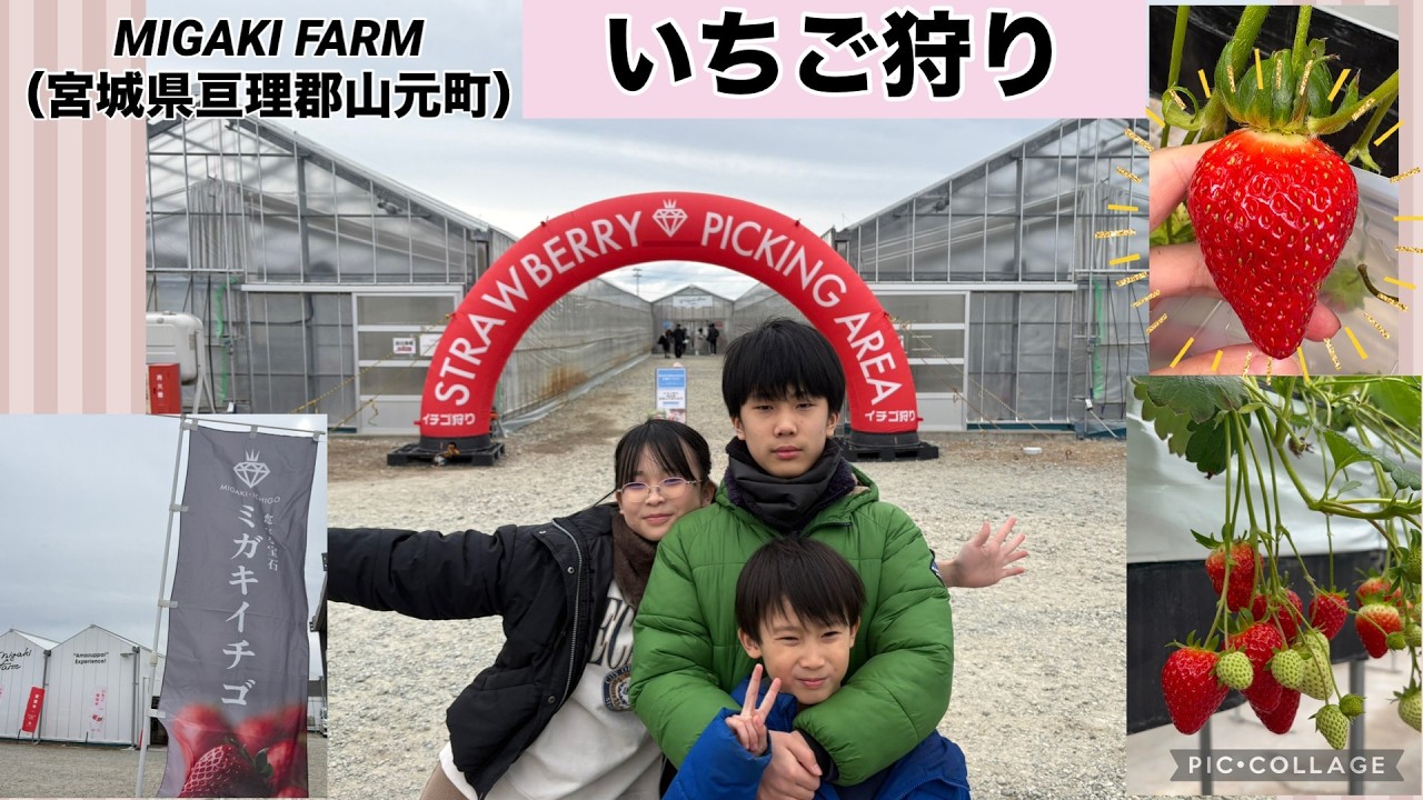 【休日】いちご狩りの季節♪思う存分食べちゃおう！その夜悲劇が…