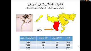 الحميات النزفية