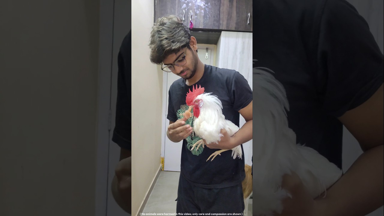 🐔Bhattu bhai cult chupistam🤙