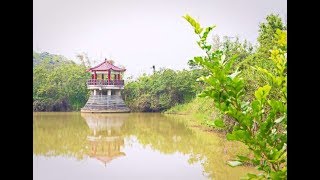 [關廟區] 關廟森林公園(景點) 