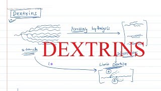 20. Dextrins Polysaccharide