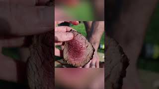 We Found So Many Deer