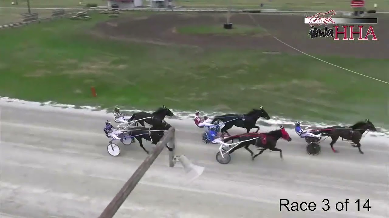 Iowa Harness Horseman Association Iowa Registered Race 3 from What Cheer, Iowa, 081322 YouTube