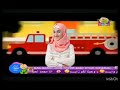 الكبريت محمد ديمة اليسا طيور الجنة