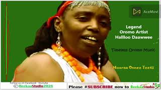 New Timeless Oromo  Legend halloo daawwee mooraa onnee teetibeekaa studio 2026