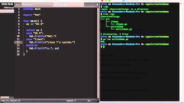 golang 7 -  switch statements